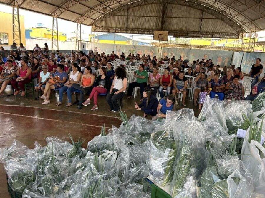 Imagem CESTAS VERDES COSTA RICA